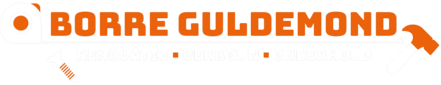 Borre Guldemond - Renovatie - Verbouw - Onderhoud