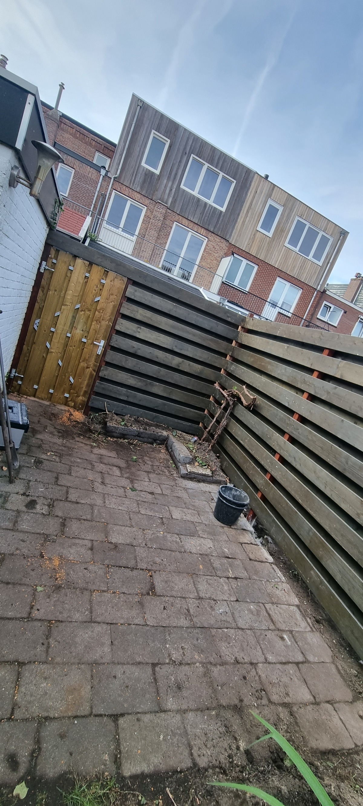 20230926_153152_1.jpg